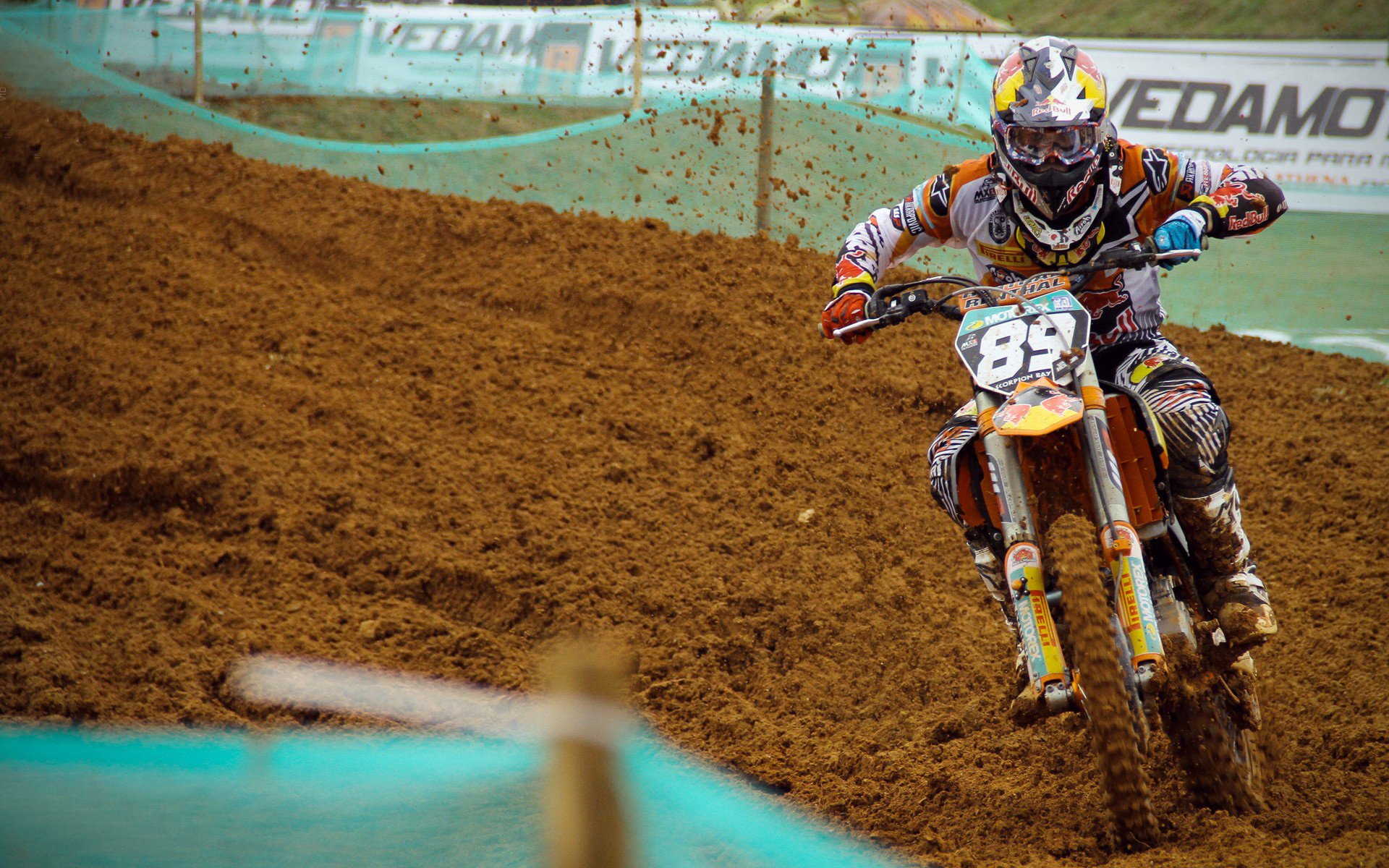 荷兰马术协会与欧洲马术协会签署合作协议，共同举办国际赛事。