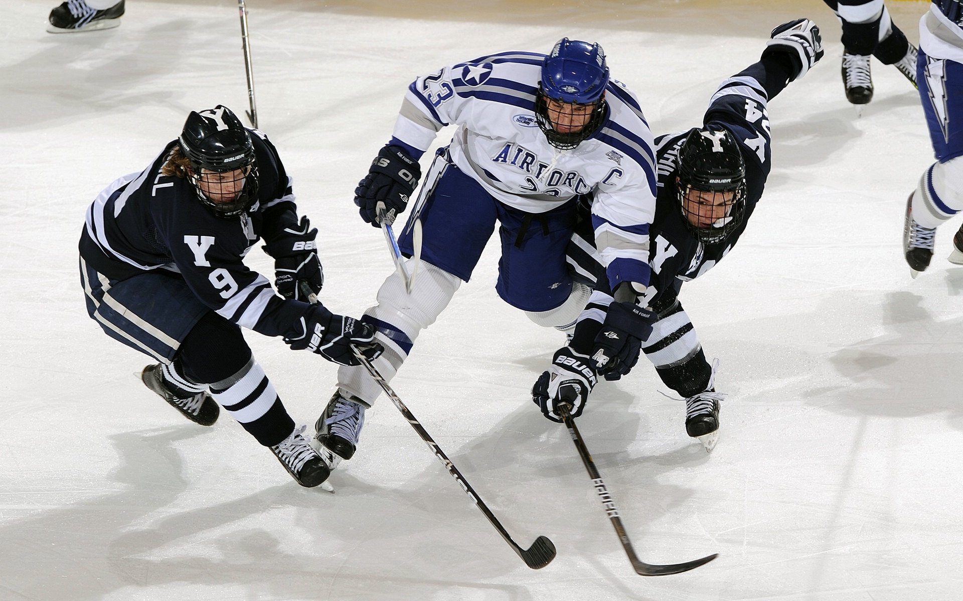 精彩对抗：本周最激烈的五场比赛回顾，对抗赛锦标赛