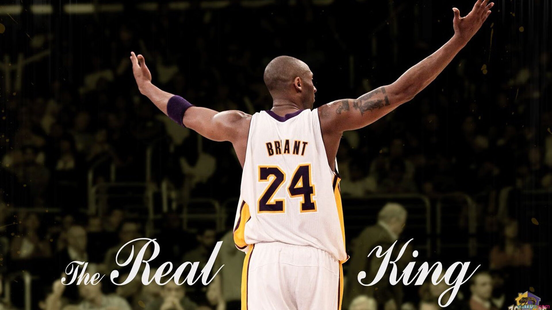 篮球公益活动激励更多青少年参与，篮球公益营销策划方案